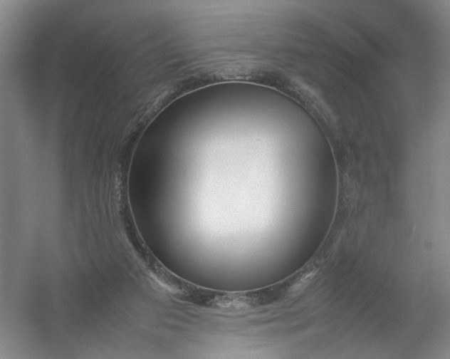 X0000054410113200508192041