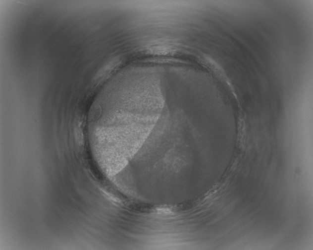 X0000054410114200508192041