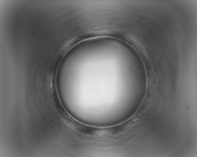 X0000054410115200508192041