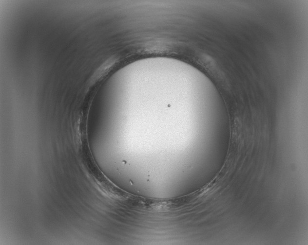X0000054410116200508192041