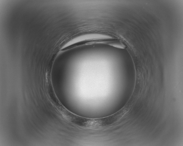 X0000054410117200508192041