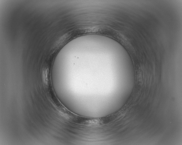 X0000054410118200508192041