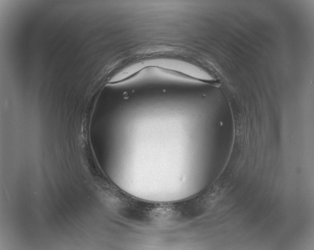 X0000054410119200508192041