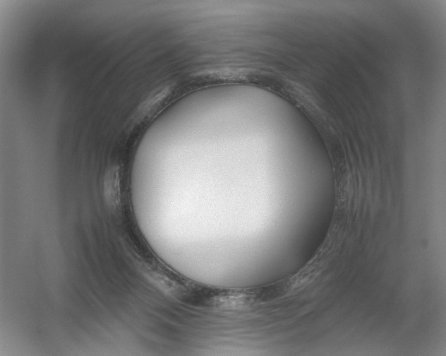 X0000054410120200508192041