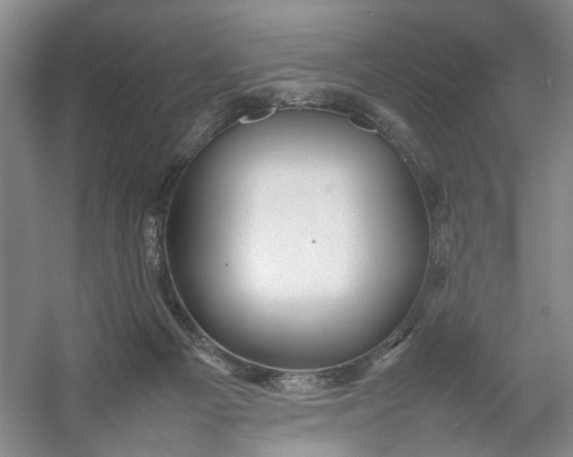 X0000054410121200508192041
