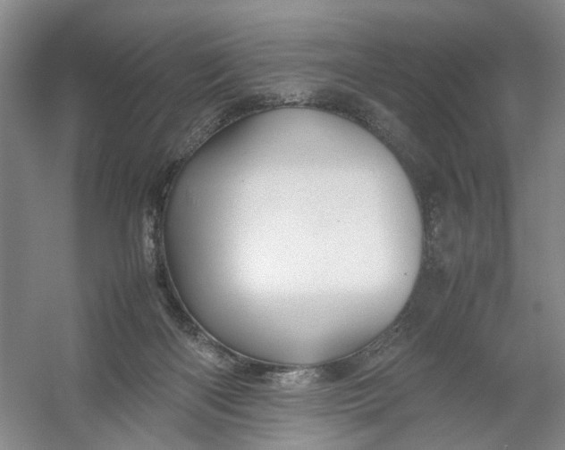 X0000054410122200508192041