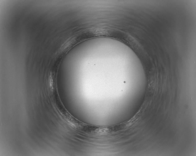 X0000054410124200508192041