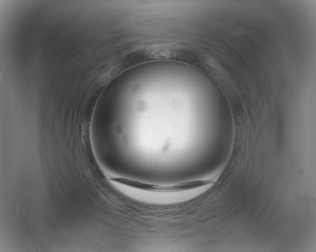 X0000054410125200508192041