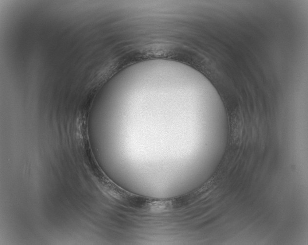X0000054410126200508192041