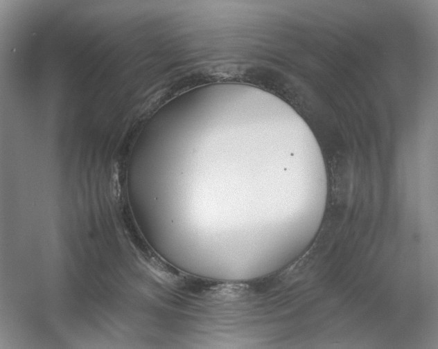 X0000054410128200508192041