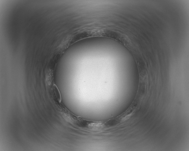 X0000054410133200508192041