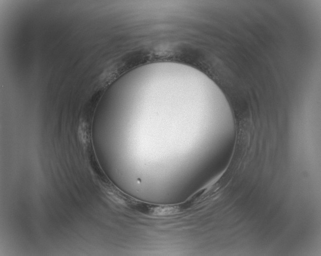 X0000054410135200508192041