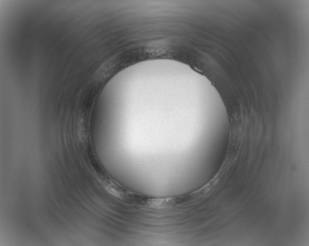 X0000054410136200508192041