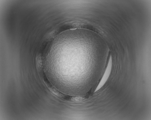 X0000054410137200508192041