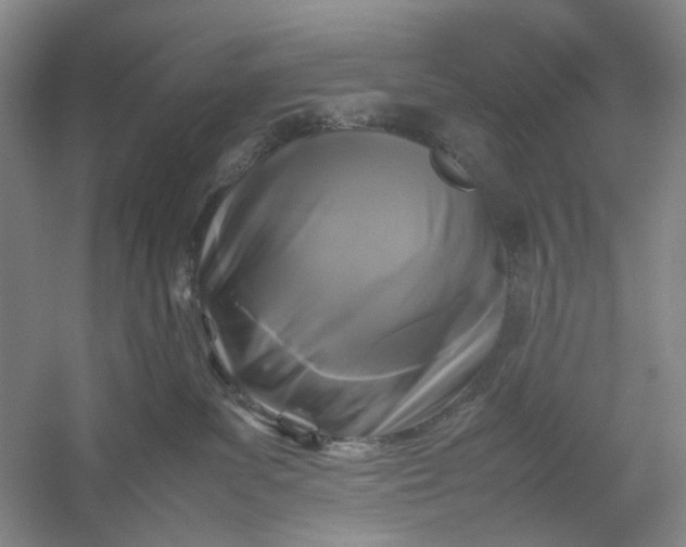 X0000054410139200508192041