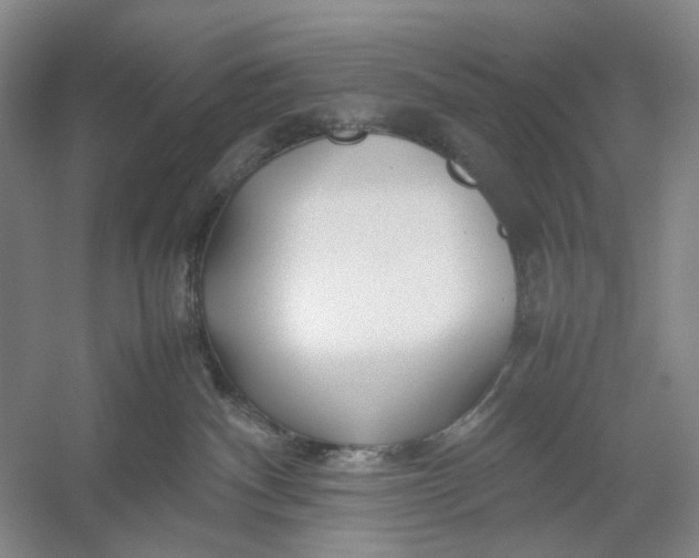 X0000054410140200508192041