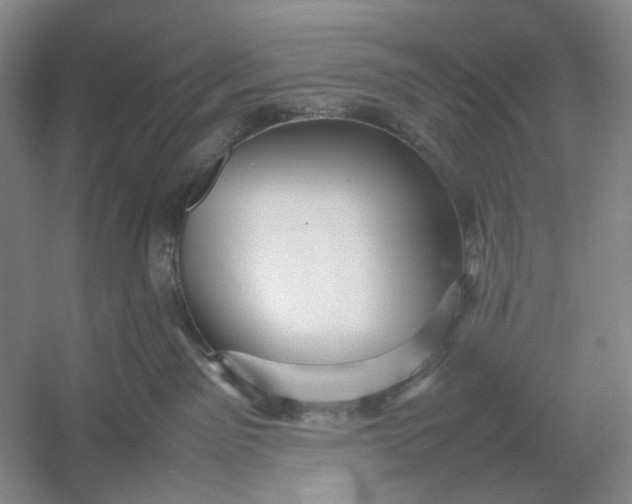 X0000054410141200508192041