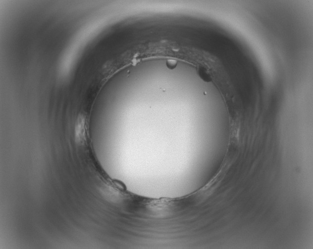 X0000054410142200508192041