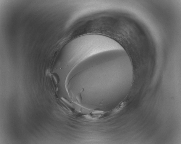 X0000054410143200508192041