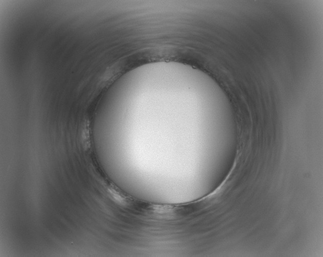 X0000054410144200508192041