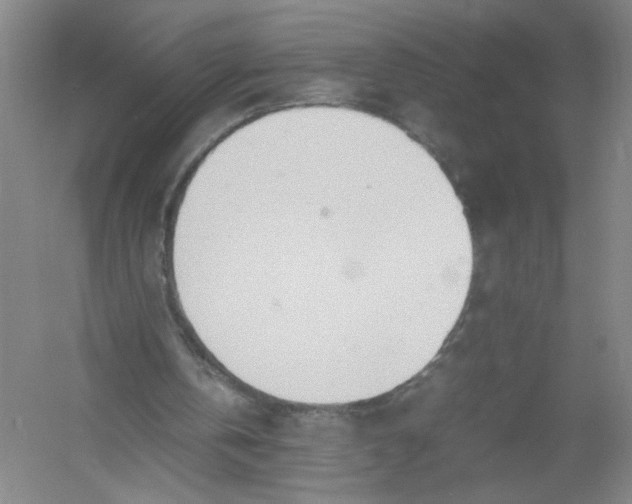 X0000054410146200508192040