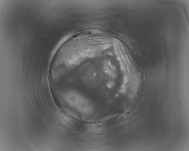X0000054410147200508192040