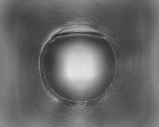 X0000054410148200508192040
