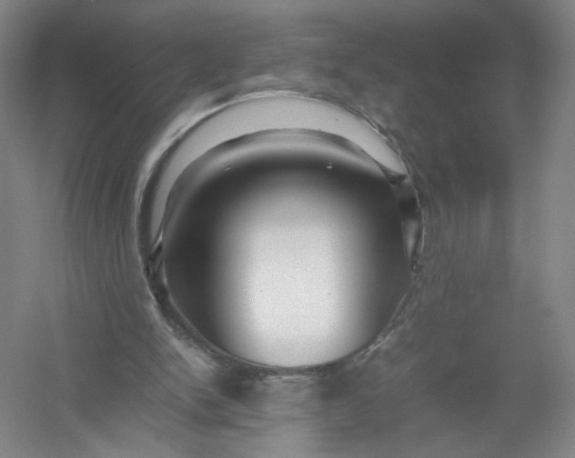 X0000054410150200508192040