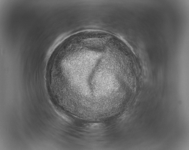 X0000054410151200508192040