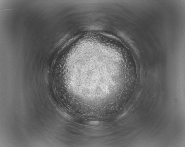 X0000054410153200508192040