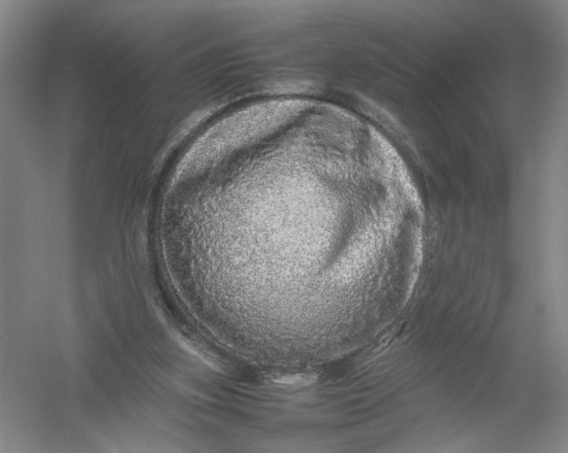 X0000054410155200508192040