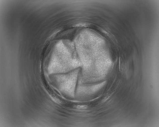 X0000054410157200508192040