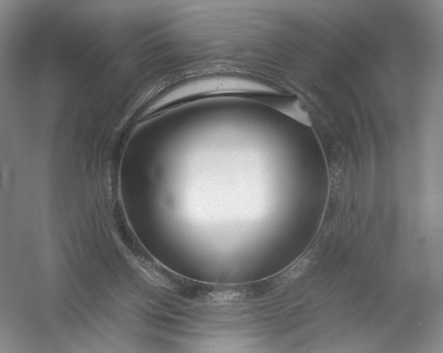 X0000054410158200508192040