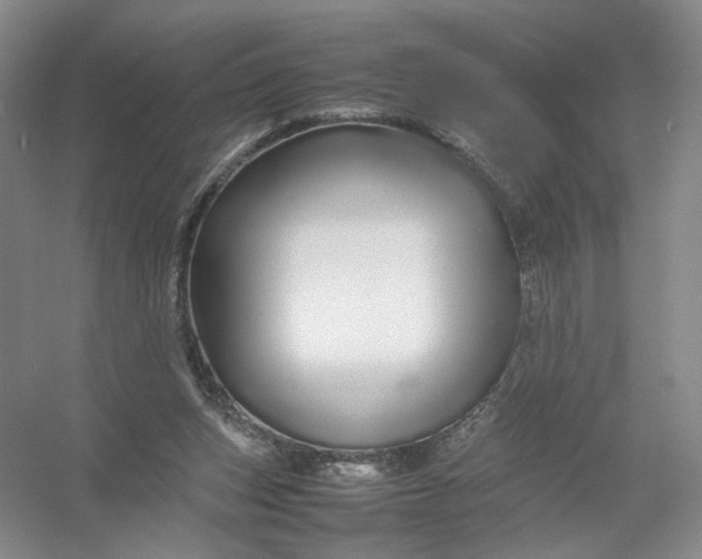 X0000054410159200508192040