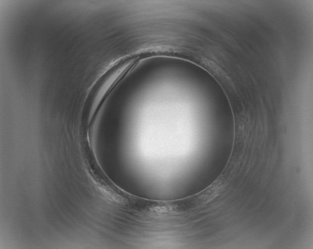 X0000054410160200508192040