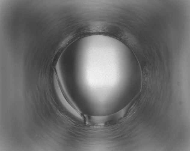 X0000054410164200508192040