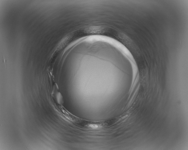 X0000054410167200508192040