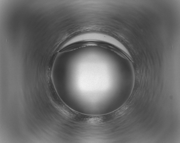 X0000054410168200508192040
