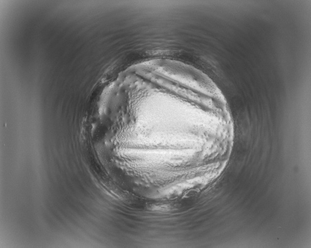 X0000054410171200508192040