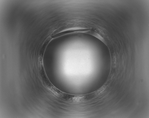 X0000054410172200508192040