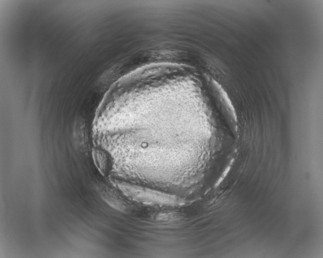 X0000054410173200508192040