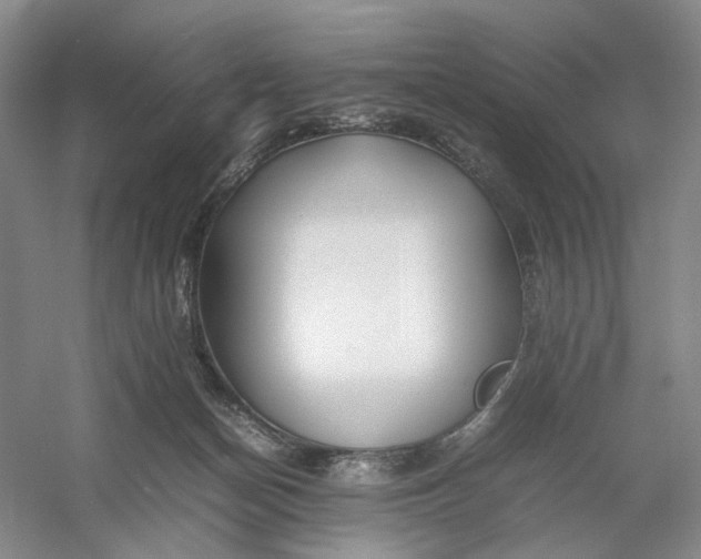 X0000054410174200508192040