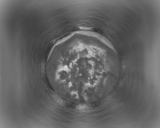 X0000054410177200508192041