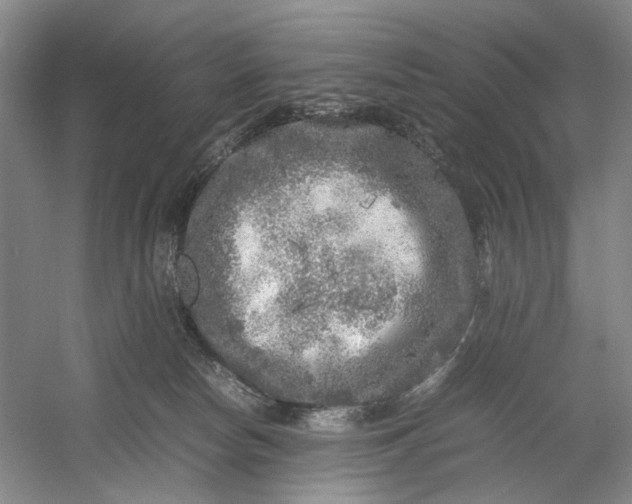 X0000054410178200508192041