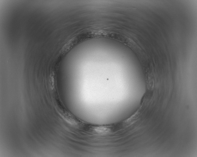 X0000054410183200508192041