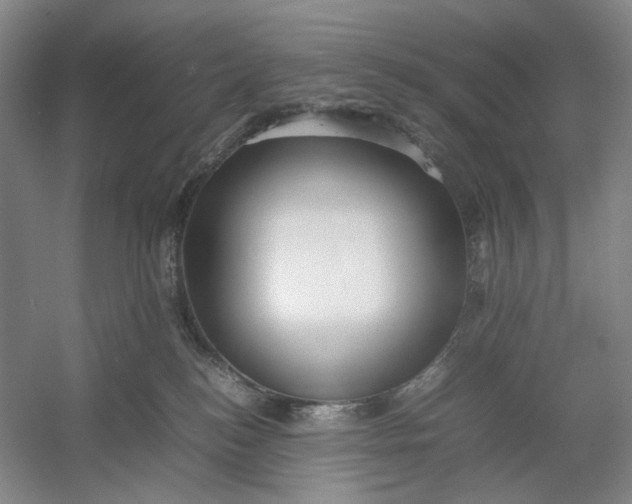 X0000054410184200508192041