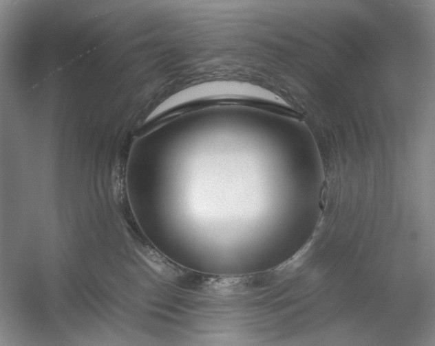 X0000054410186200508192041