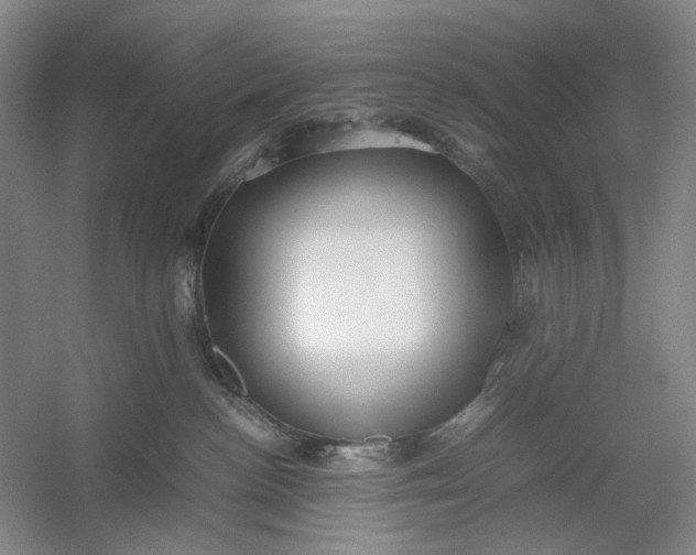 X0000054410188200508192041