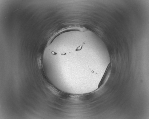 X0000054410190200508192041