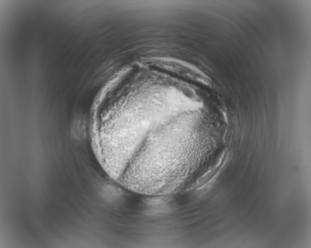 X0000054410191200508192041